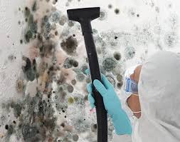 Why You Should Choose Our Mold Remediation Services in Oak Ridge, FL